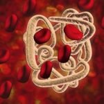 Cambios estructurales en la hemoglobina y afinidad por el oxígeno.