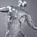¿Cómo se distribuye el agua en el interior del organismo?
