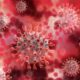 Conceptos que debes saber sobre los virus