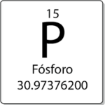 ¿Cuáles son las Anomalías de la concentración del fósforo?