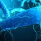10 conceptos que debes saber sobre las Enterobacterias.
