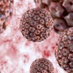 ¿Qué son los herpes virus?