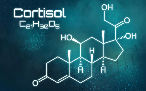 Papel del cortisol y hormona de crecimiento durante la inflamación.