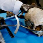 ¿Cuáles son los puntos craneométricos?