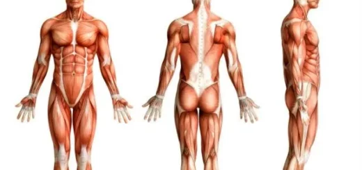 ¿Qué es la posición anatómica?