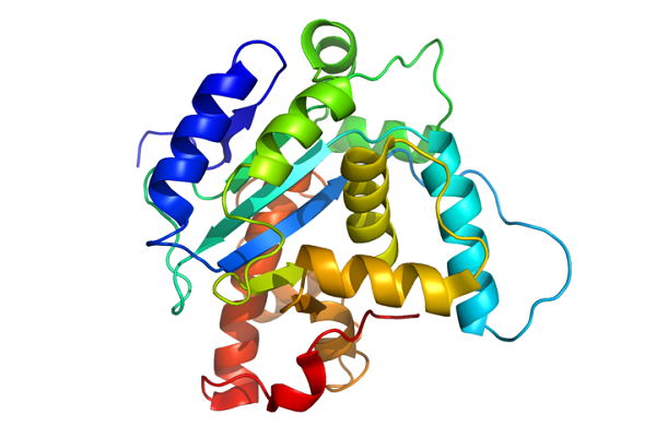 ¿Qué proteínas plasmáticas sintetiza el hígado?