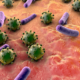 ¿Qué son los virus y las bacterias?