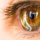 ¿Cuánto mide la córnea del ojo humano?
