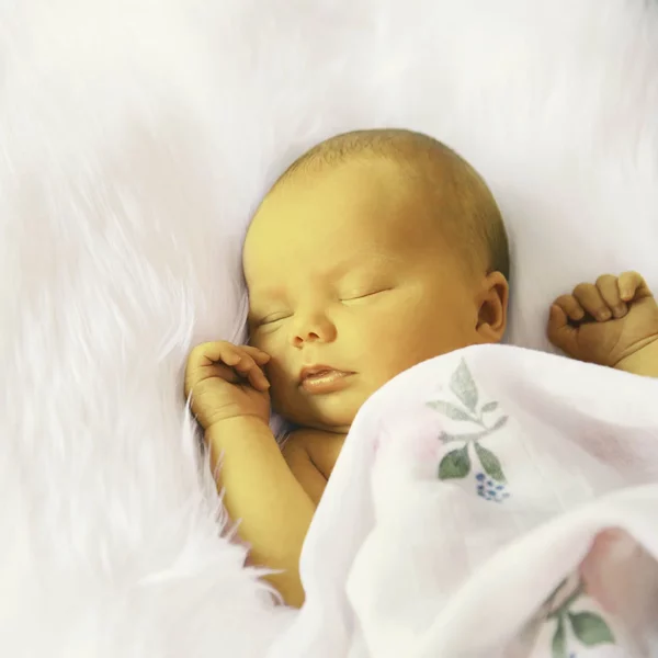 causas de hiperbilirrubinemia en el recién nacido