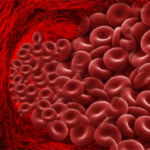 Ciclo del hierro en el organismo humano