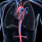 ¿Cómo es el dolor torácico de origen aórtico?