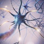 ¿Qué es el síndrome de neurona motora superior?