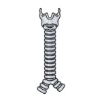 ¿Qué es la tráquea?