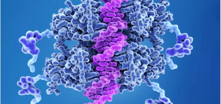Defectos genéticos en pacientes con cáncer de colon