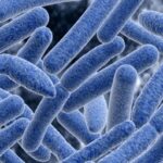 ¿Qué causa el botulismo?