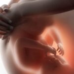 Cambios en el metabolismo durante el embarazo