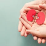 Cambios en la función renal durante el embarazo