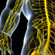 Causas de la polineuropatía simétrica distal