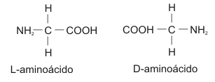 Distribución de los aminoácidos en el organismo