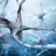 Alteraciones en los nervios en la neuropatía diabética