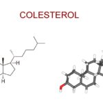 Papel del colesterol en la formación de cálculos biliares