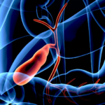 ¿Qué causa la contracción y la relajación de la vesícula biliar?