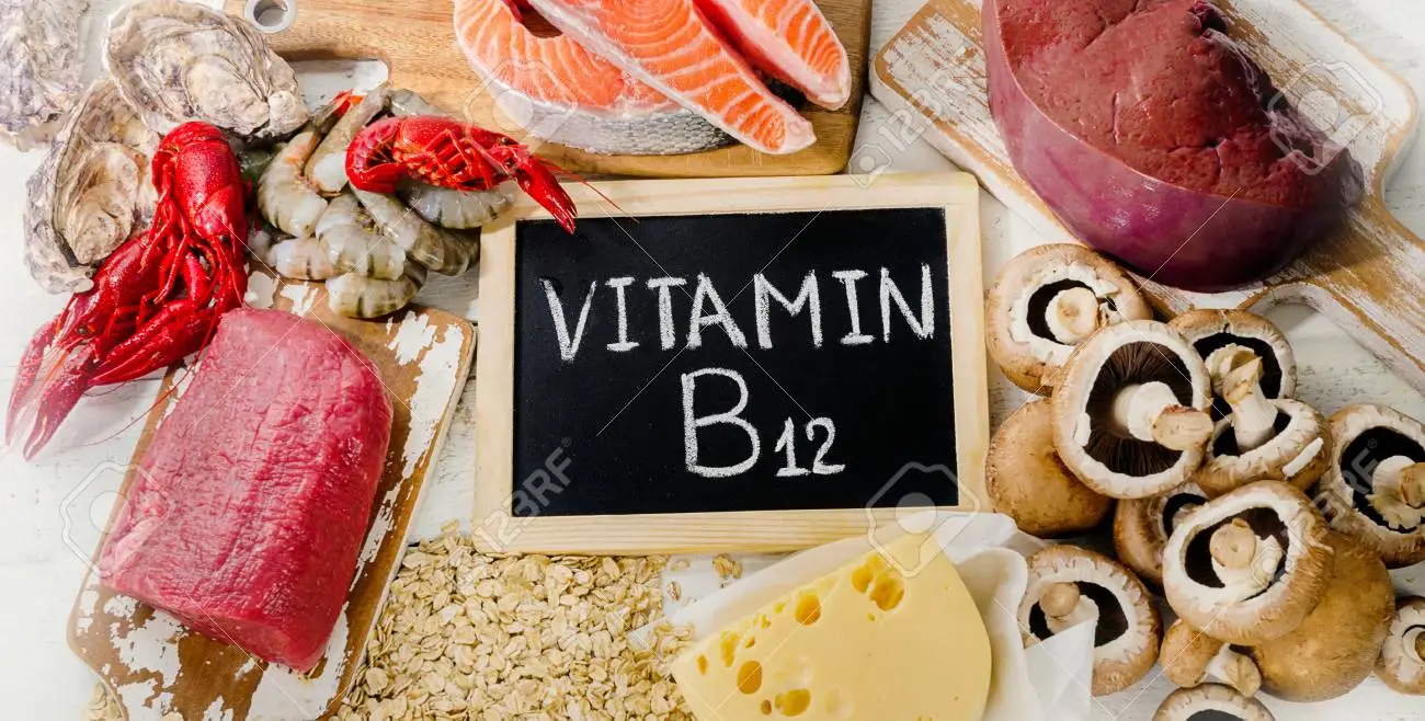 Metabolismo de la cobalamina (Vitamina B12)
