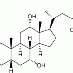 ¿Cuál es la función de las sales biliares en la digestión y absorción de las grasas?