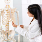 Formas de estudiar anatomía