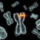 Genes relacionados con feocromocitoma y paraganglioma