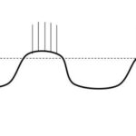¿Cuáles son las ondas eléctricas del músculo liso gastrointestinal?
