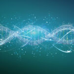 tipos de alteraciones que puede sufrir el ADN