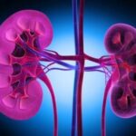 características de la enfermedad renal crónica