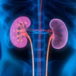 Clasificación de las causas de lesión renal