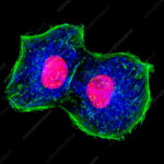 Características generales de los seres vivos