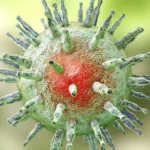 ¿Qué es la mononucleosis infecciosa?