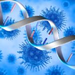 ¿Qué virus se asocian a neoplasia?