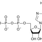 ¿Qué es el adenosín trifosfato (ATP)?