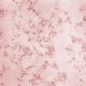 ¿Qué es la tularemia?