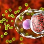 ¿Qué infecciones produce la clamidia?