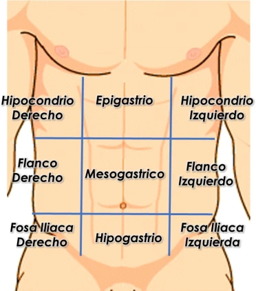 Regiones de la pared abdominal anterior