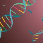 ¿Qué es la Transcripción?
