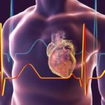 ¿Cómo se regula el bombeo del corazón?