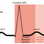 ¿Qué es el periodo refractario de las células cardiacas?
