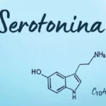 ¿Qué es la serotonina?