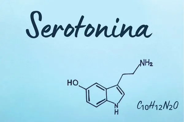 ¿Qué es la serotonina?