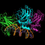 ¿Qué es la proteómica?