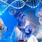 ¿Cuáles son las fases del desarrollo de fármacos?