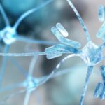 ¿Qué son las enfermedades autoinmunitarias?