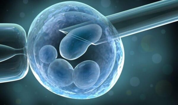 Células madre embrionarias y las células pluripotentes inducidas